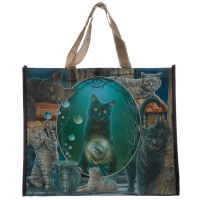 Nákupní taška Magická kočka, design Lisa Parker